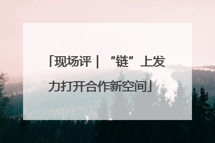 现场评｜“链”上发力打开合作新空间