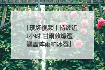 现场视频丨持续近1小时 甘肃敦煌遭遇雷阵雨和冰雹
