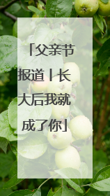 父亲节报道丨长大后我就成了你
