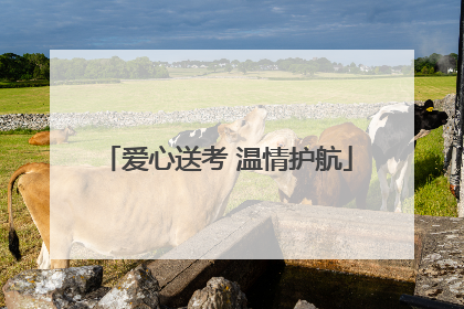 爱心送考 温情护航