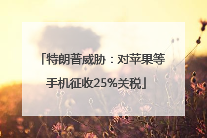 特朗普威胁：对苹果等手机征收25%关税