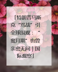 特朗普马斯克“骂战”引全球围观：“蜜月期”也曾亲密无间｜国际观察