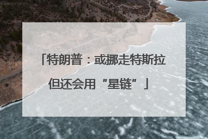 特朗普：或挪走特斯拉 但还会用“星链”