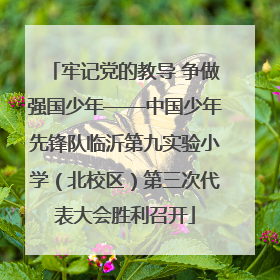 牢记党的教导 争做强国少年——中国少年先锋队临沂第九实验小学（北校区）第三次代表大会胜利召开