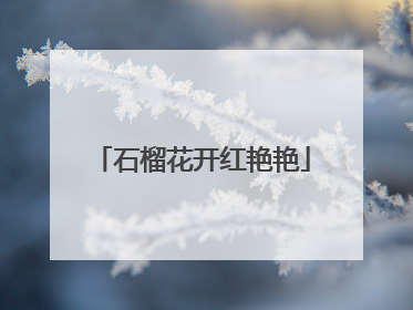 石榴花开红艳艳