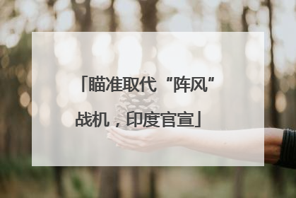 瞄准取代“阵风”战机，印度官宣
