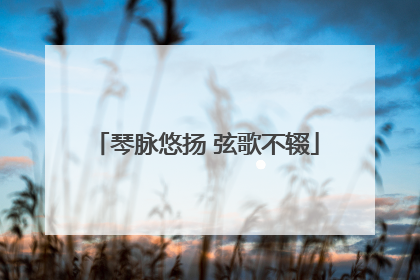 琴脉悠扬 弦歌不辍