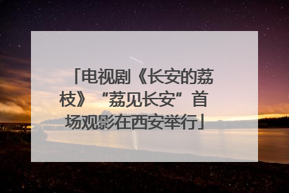 电视剧《长安的荔枝》“荔见长安”首场观影在西安举行