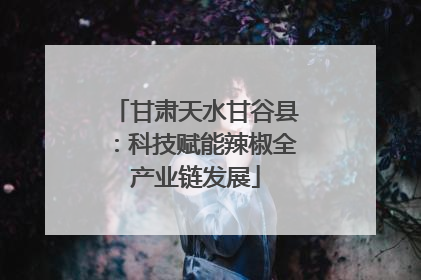 甘肃天水甘谷县：科技赋能辣椒全产业链发展