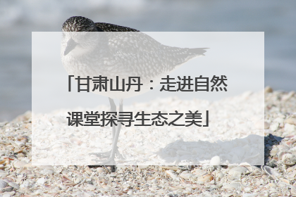甘肃山丹：走进自然课堂探寻生态之美