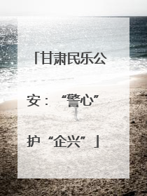 甘肃民乐公安：“警心”护“企兴”