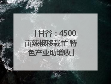 甘谷：4500亩辣椒移栽忙 特色产业助增收