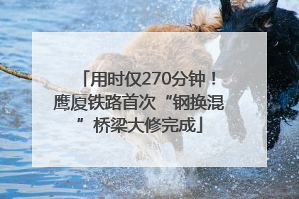 用时仅270分钟！鹰厦铁路首次“钢换混”桥梁大修完成