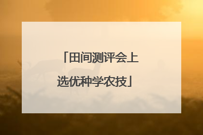 田间测评会上选优种学农技