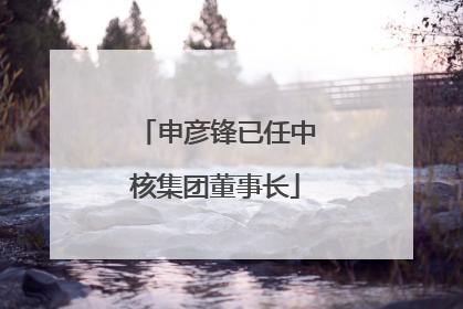 申彦锋已任中核集团董事长
