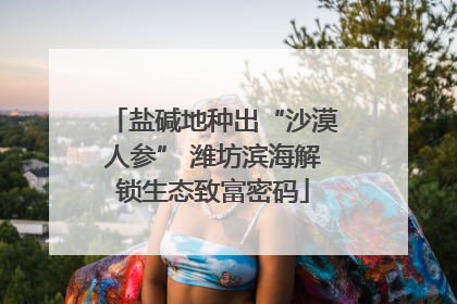盐碱地种出“沙漠人参” 潍坊滨海解锁生态致富密码
