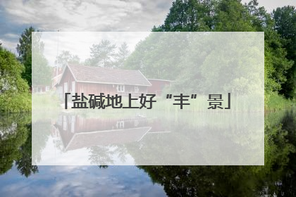 盐碱地上好“丰”景
