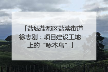 盐城盐都区盐渎街道徐志刚：项目建设工地上的“啄木鸟”