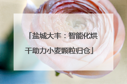 盐城大丰：智能化烘干助力小麦颗粒归仓