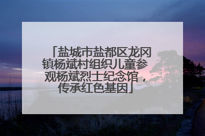 盐城市盐都区龙冈镇杨斌村组织儿童参观杨斌烈士纪念馆，传承红色基因