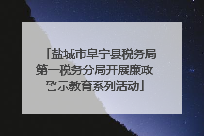 盐城市阜宁县税务局第一税务分局开展廉政警示教育系列活动
