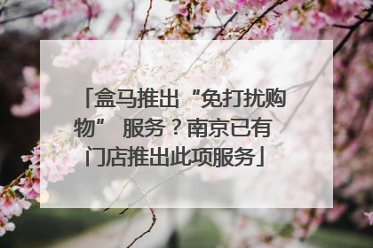 盒马推出“免打扰购物” 服务？南京已有门店推出此项服务