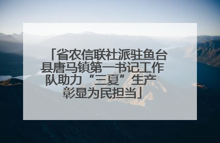 省农信联社派驻鱼台县唐马镇第一书记工作队助力“三夏”生产 彰显为民担当