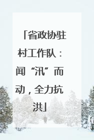 省政协驻村工作队：闻“汛”而动，全力抗洪
