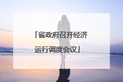 省政府召开经济运行调度会议