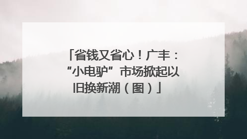 省钱又省心！广丰：“小电驴”市场掀起以旧换新潮（图）