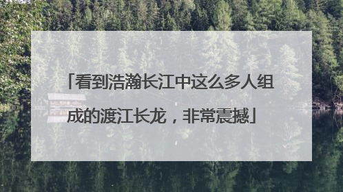 看到浩瀚长江中这么多人组成的渡江长龙，非常震撼