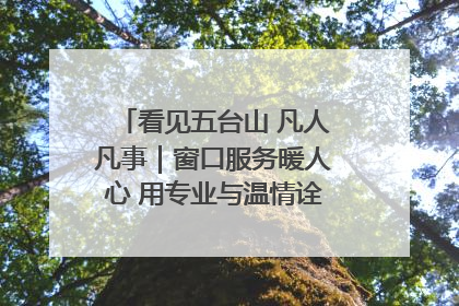 看见五台山 凡人凡事｜窗口服务暖人心 用专业与温情诠释责任担当