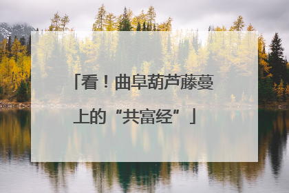 看！曲阜葫芦藤蔓上的“共富经”