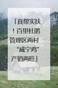 真帮实扶！百里杜鹃管理区两村“威宁鸡”产销两旺