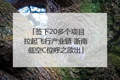 签下20多个项目 拉起飞行产业链 浙南低空C位呼之欲出