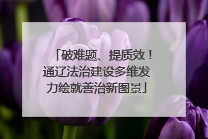 破难题、提质效！通辽法治建设多维发力绘就善治新图景