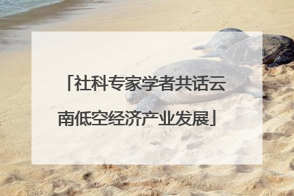 社科专家学者共话云南低空经济产业发展