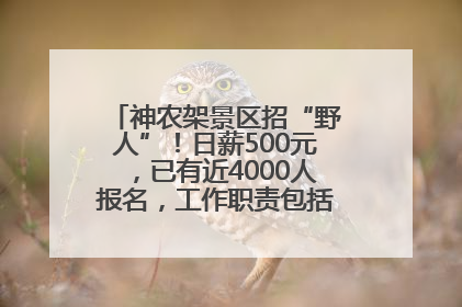神农架景区招“野人”！日薪500元，已有近4000人报名，工作职责包括“接受游客投喂”