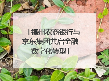 福州农商银行与京东集团共启金融数字化转型