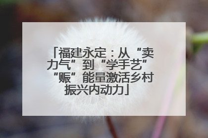 福建永定：从“卖力气”到“学手艺”“赈”能量激活乡村振兴内动力
