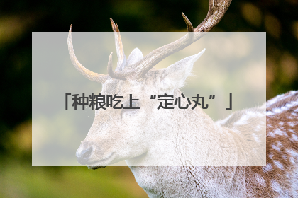 种粮吃上“定心丸”
