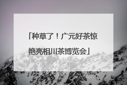 种草了！广元好茶惊艳亮相川茶博览会