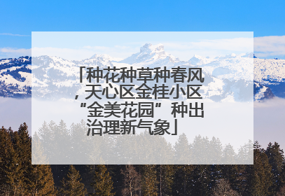 种花种草种春风，天心区金桂小区“金美花园”种出治理新气象