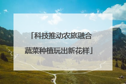 科技推动农旅融合 蔬菜种植玩出新花样