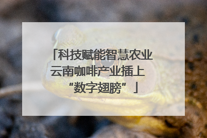 科技赋能智慧农业 云南咖啡产业插上“数字翅膀”