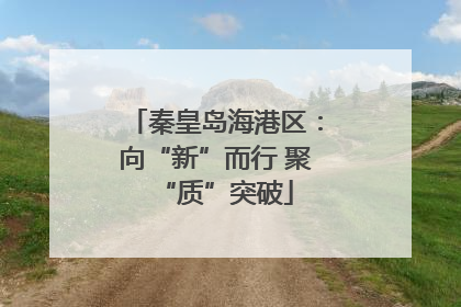 秦皇岛海港区：向“新”而行 聚“质”突破