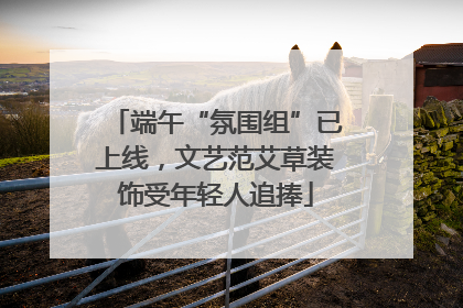 端午“氛围组”已上线，文艺范艾草装饰受年轻人追捧