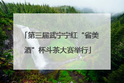 第三届武宁宁红“省美酒”杯斗茶大赛举行