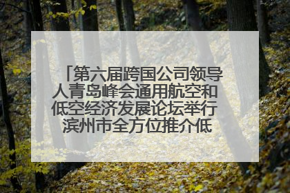 第六届跨国公司领导人青岛峰会通用航空和低空经济发展论坛举行 滨州市全方位推介低空经济发展优势