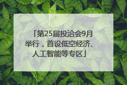 第25届投洽会9月举行，首设低空经济、人工智能等专区